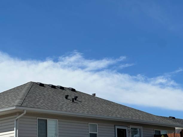 Best Skylight Installation and Repair  in New Hope, MS